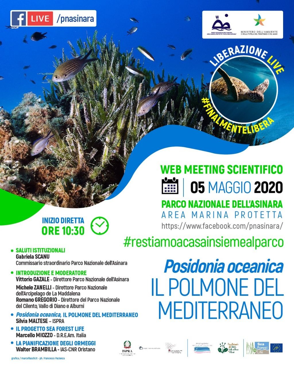 Poseidonia Oceanica: il polmone del Mediterraneo